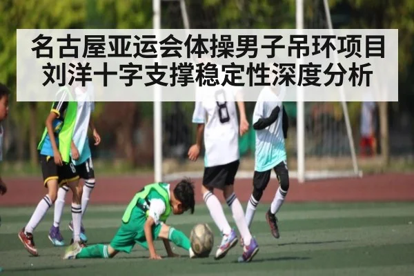 名古屋亚运会体操男子吊环项目刘洋十字支撑稳定性深度分析
